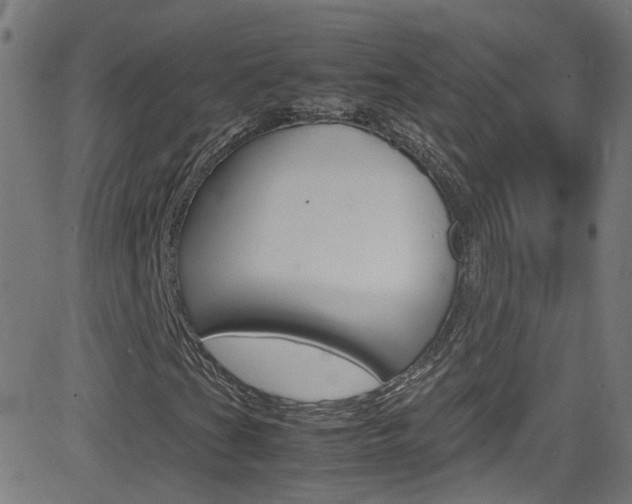 X0000083001201200702011200