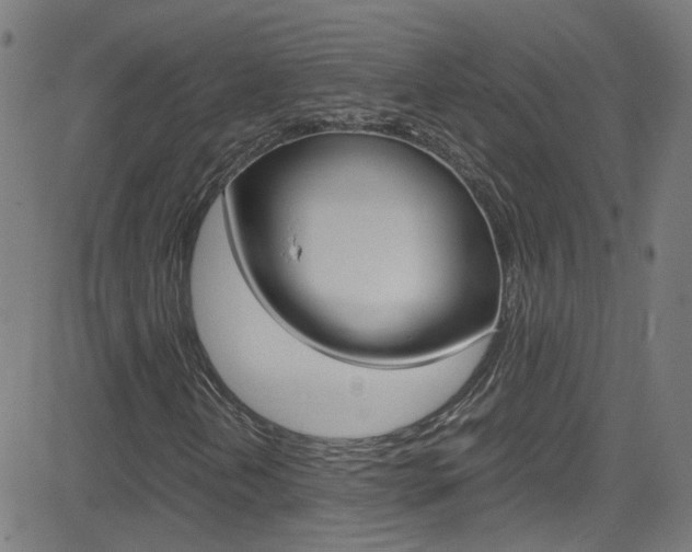 X0000083001202200702011200