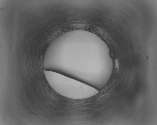 X0000083001203200702011200