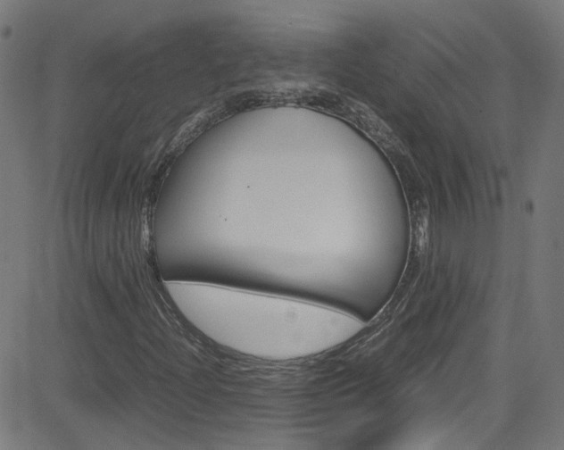 X0000083001204200702011200