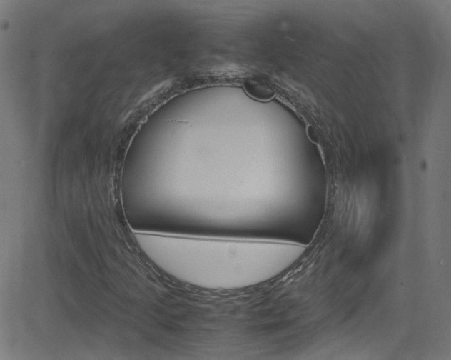 X0000083001205200702011200