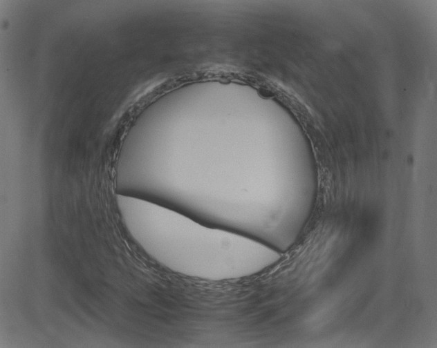 X0000083001207200702011201