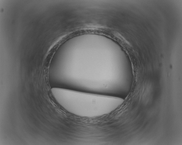 X0000083001208200702011201