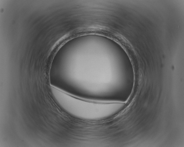 X0000083001210200702011201