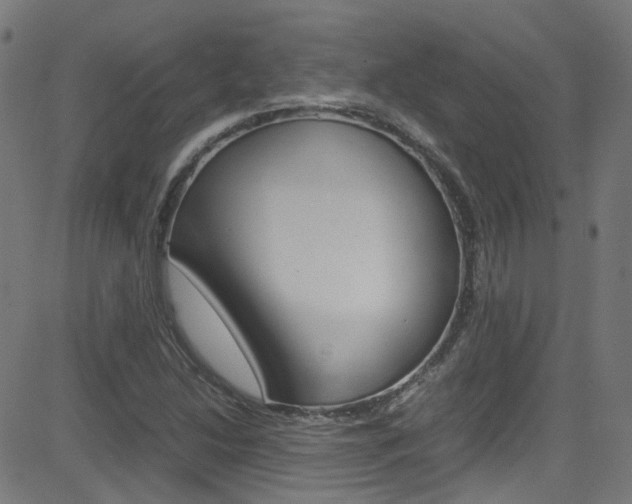 X0000083001214200702011201
