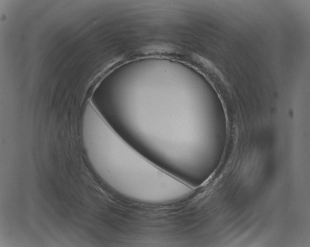 X0000083001217200702011201