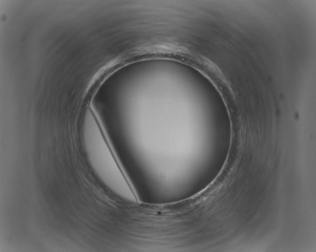 X0000083001218200702011201