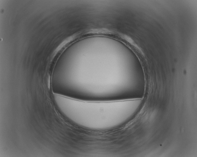 X0000083001221200702011201