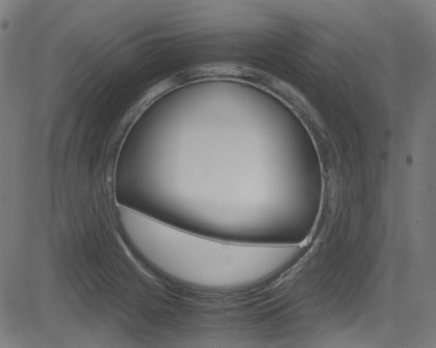 X0000083001225200702011201