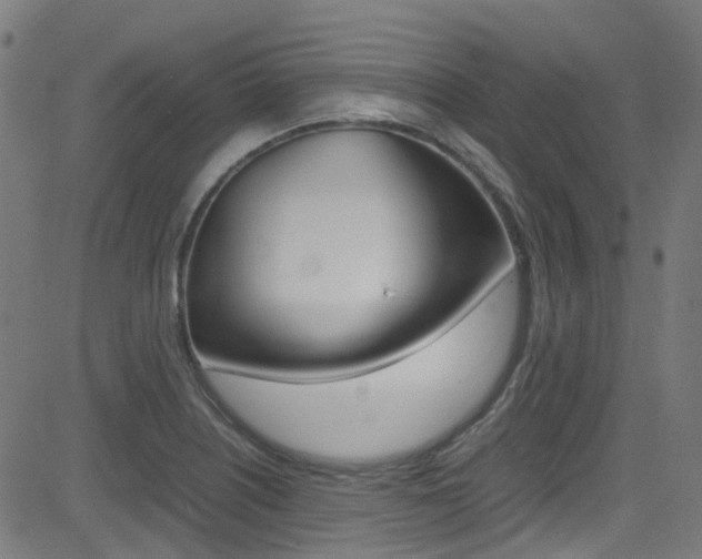 X0000083001226200702011201