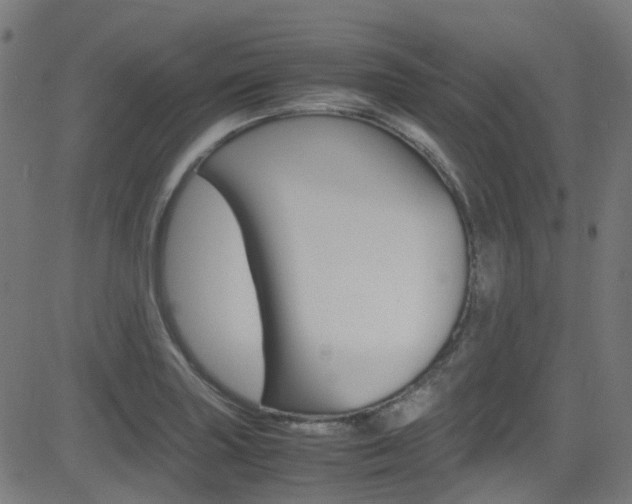 X0000083001227200702011201