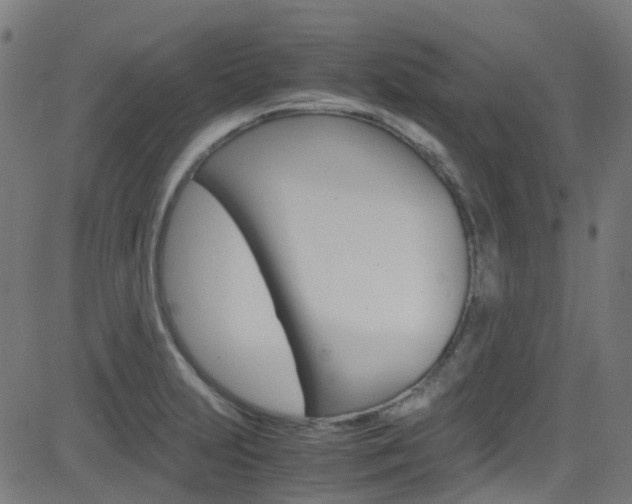 X0000083001231200702011201