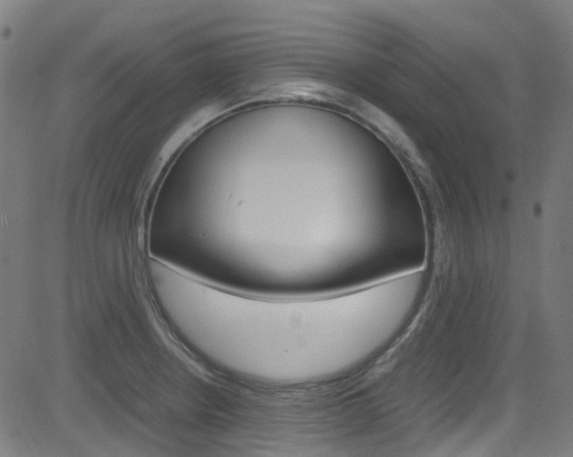 X0000083001234200702011201
