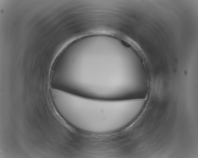 X0000083001236200702011201