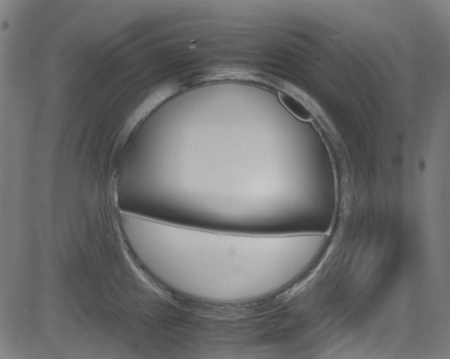 X0000083001241200702011201