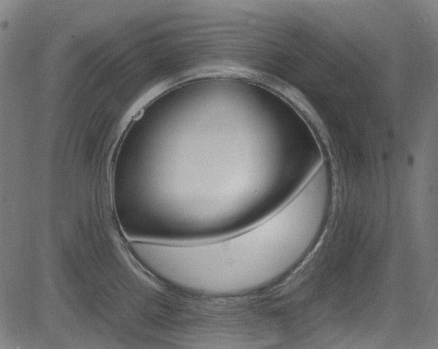 X0000083001242200702011201