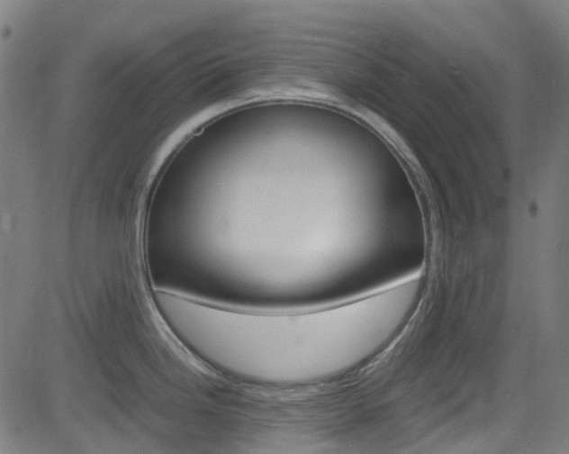 X0000083001246200702011201
