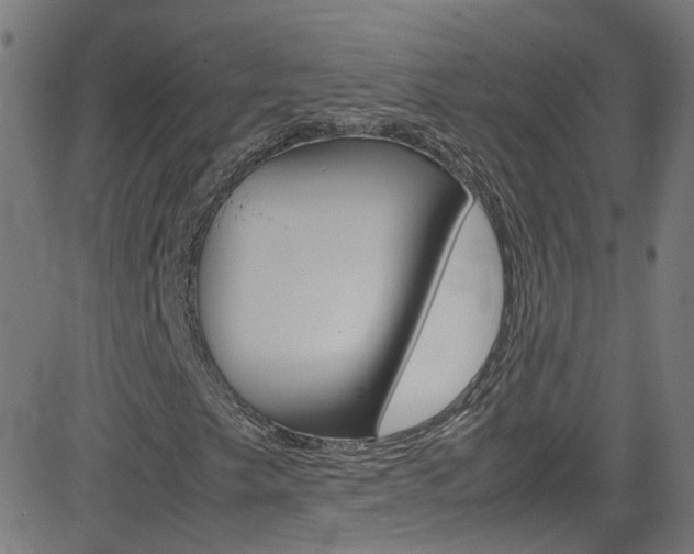 X0000083001249200702011200