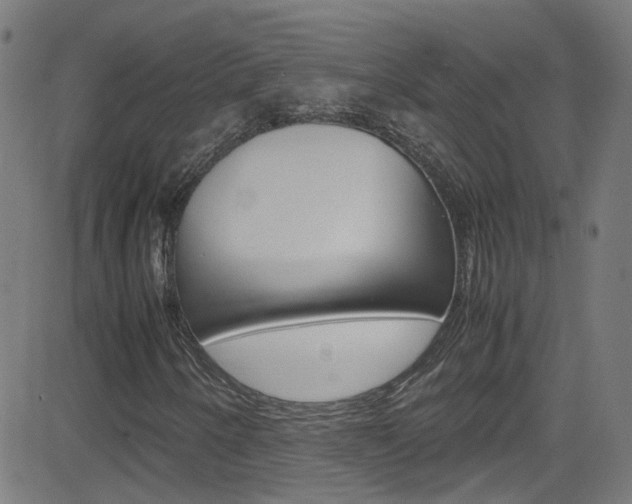 X0000083001250200702011200