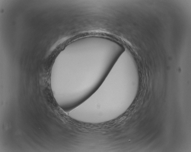 X0000083001255200702011200
