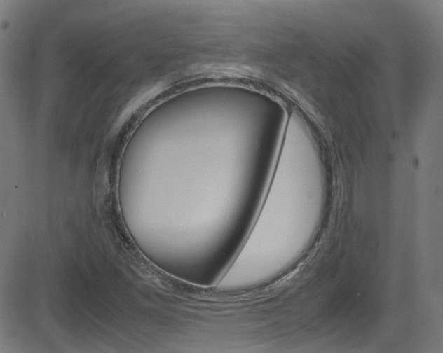 X0000083001261200702011200