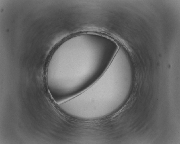 X0000083001264200702011200