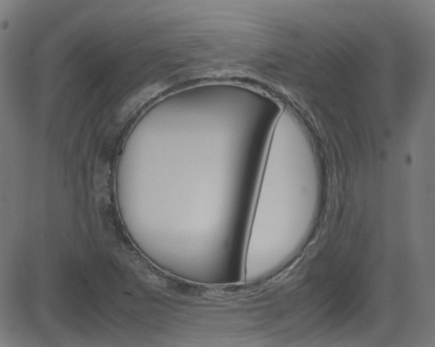 X0000083001265200702011200