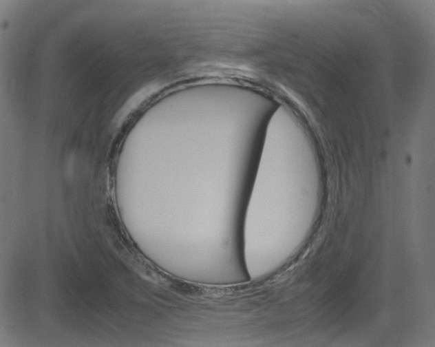 X0000083001267200702011200
