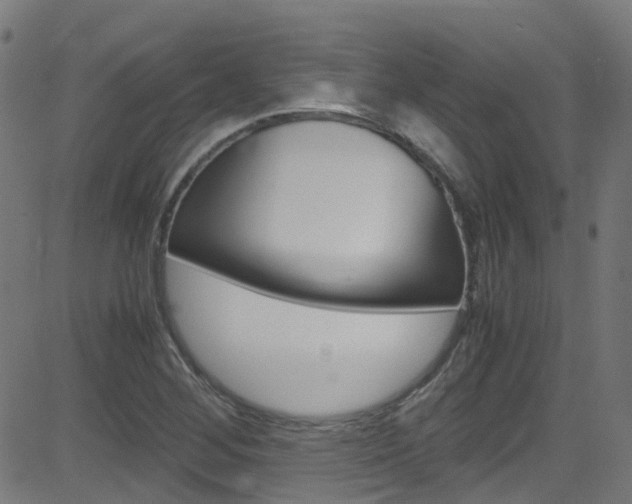 X0000083001268200702011200