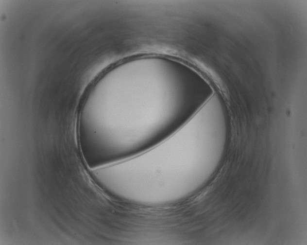 X0000083001272200702011200