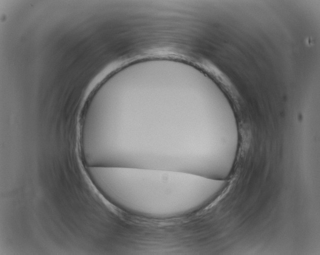 X0000083001286200702011200