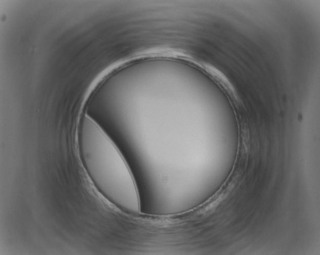 X0000083001288200702011200