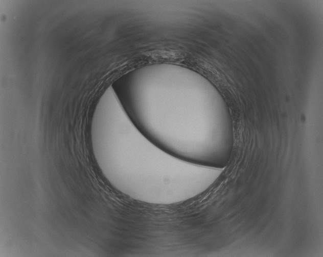 X0000083001297200702011159