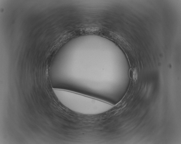 X0000083001299200702011159