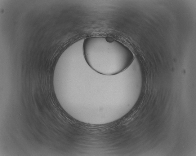 X0000083001300200702011159