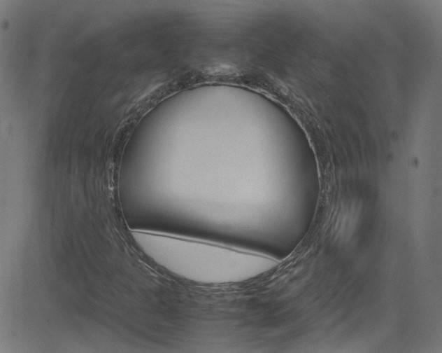 X0000083001301200702011159