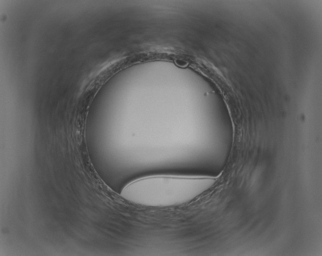 X0000083001303200702011159