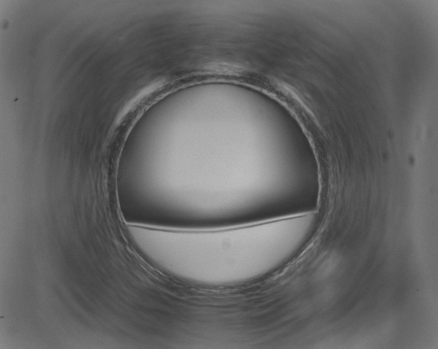 X0000083001307200702011159