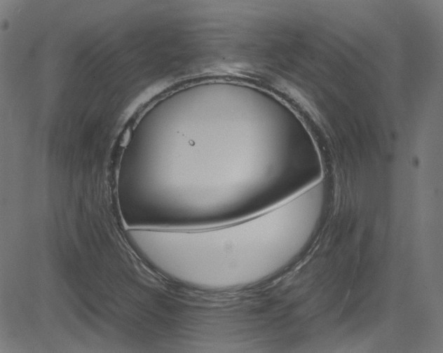 X0000083001308200702011159