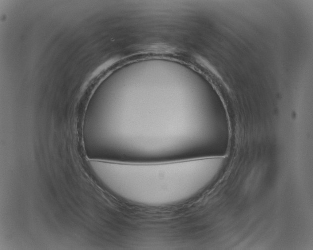 X0000083001315200702011159