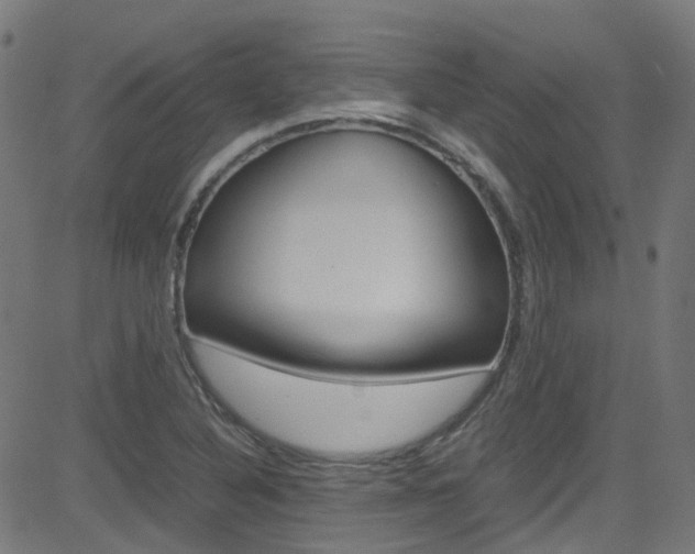 X0000083001316200702011159