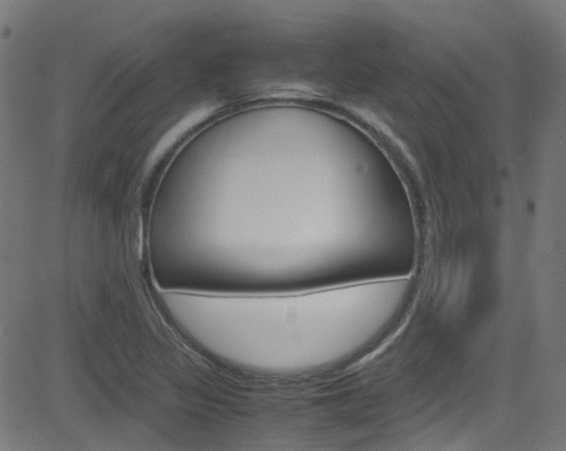 X0000083001317200702011159