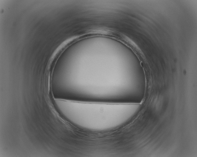 X0000083001323200702011159