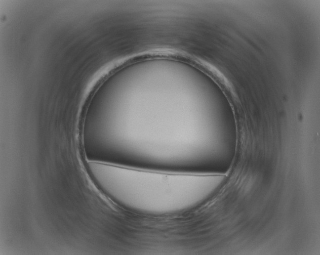 X0000083001327200702011159