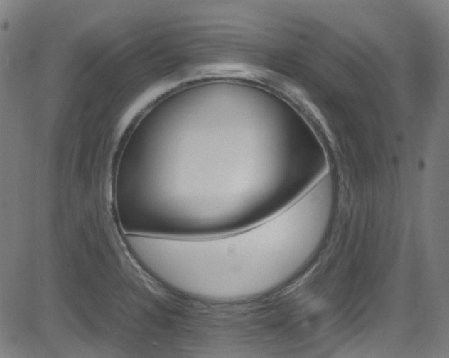 X0000083001328200702011159