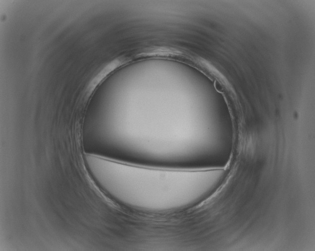 X0000083001329200702011159