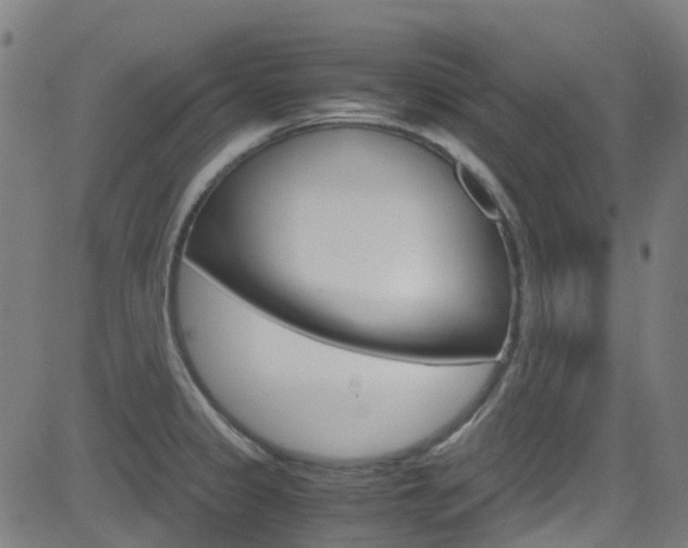 X0000083001333200702011159