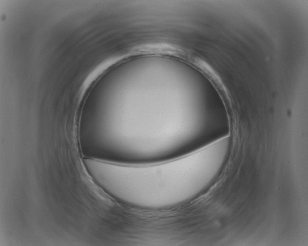 X0000083001336200702011159