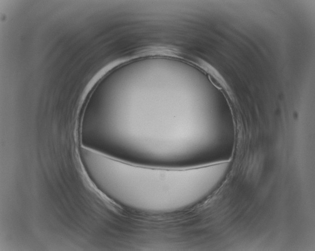 X0000083001339200702011200