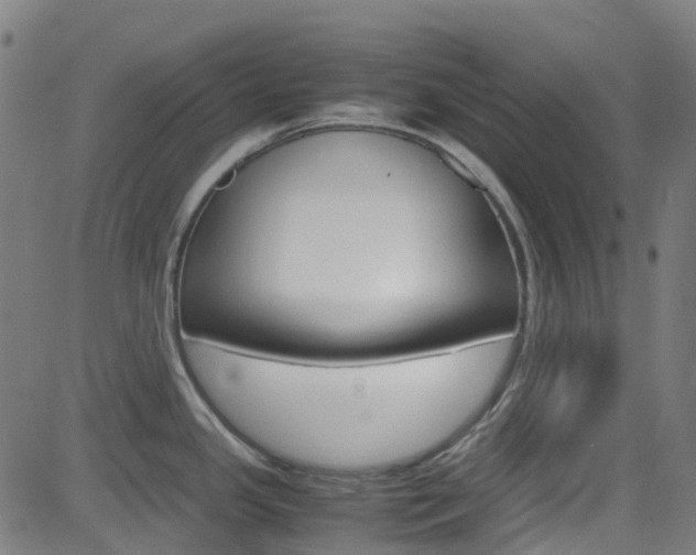 X0000083001341200702011200